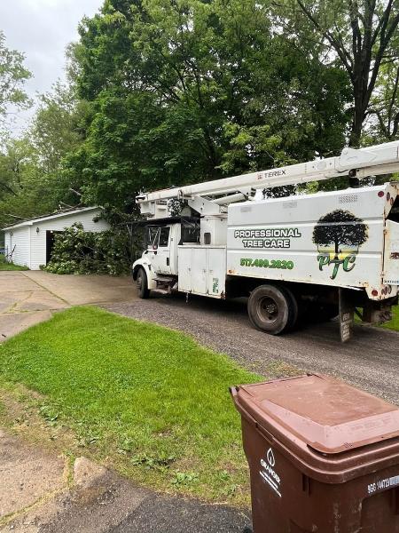 Professional Tree Care