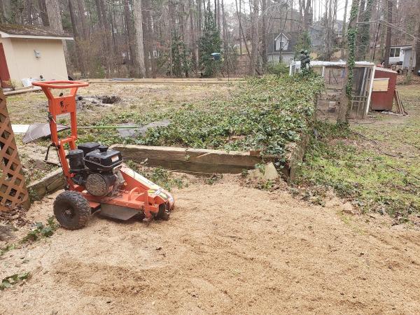 Father Son Stump Removal