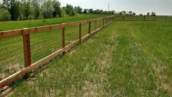 Black Eagle Fence