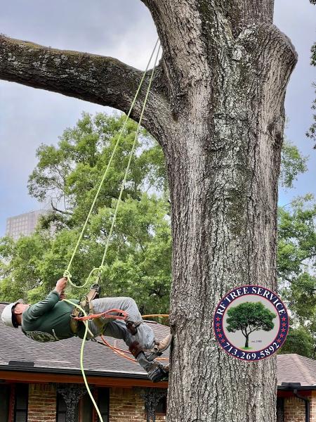 RF Tree Service