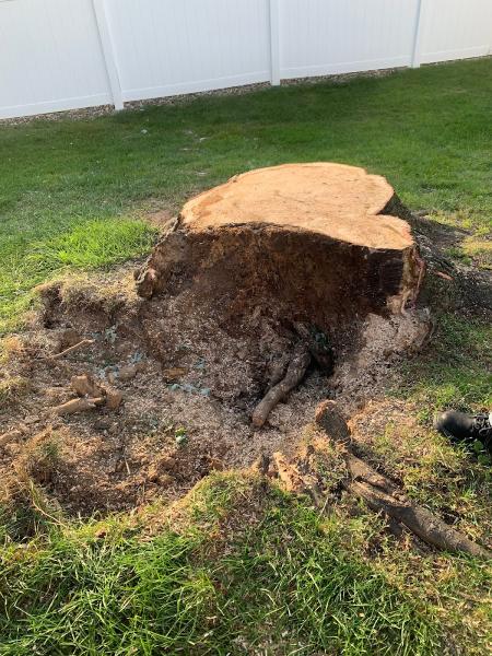 Stoners Tree Service