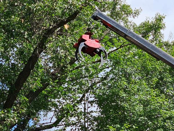 Brawner's Tree Service LLC