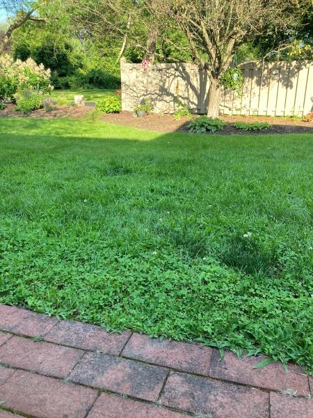 Residential Property Maintenance Inc.