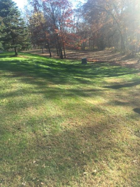 Green Team Lawn & Snow LLC
