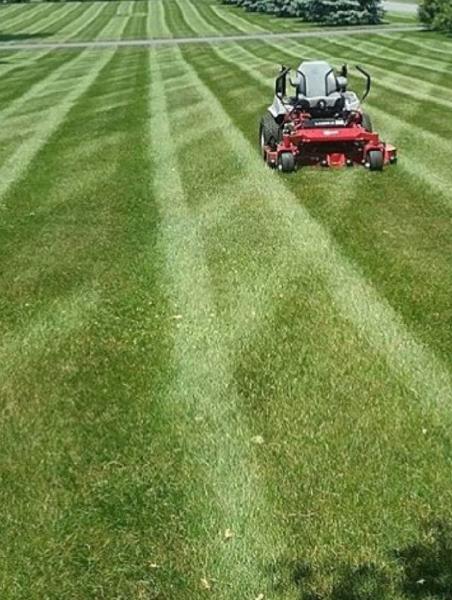 Morgandale Lawn Service LLC