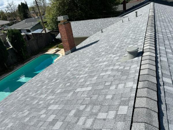 Noah's Roofing
