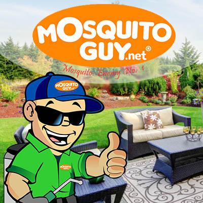 Mosquito Guy