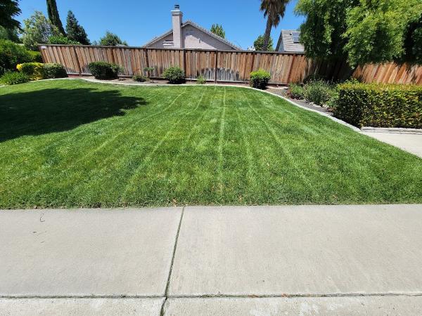 Tommy's Lawns