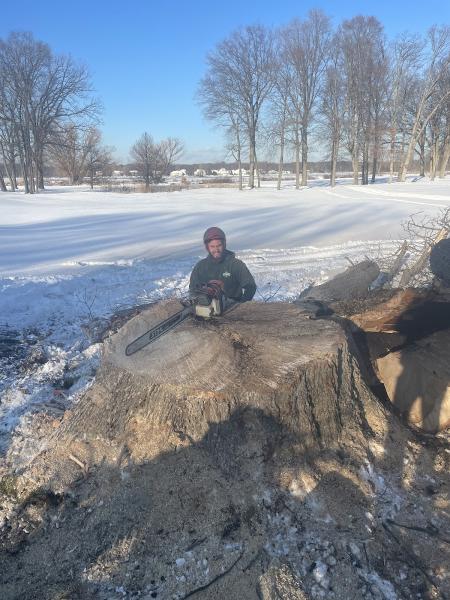 Kamps Tree Service