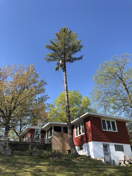 Norgren Tree Services Inc