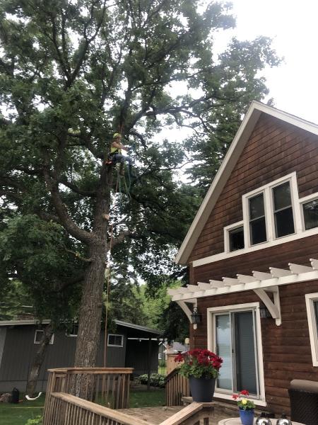 Norgren Tree Services Inc