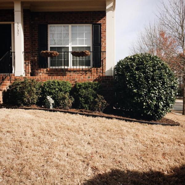 Dogwood Lawn Care
