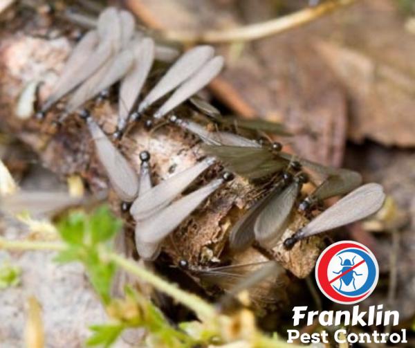 Franklin Pest Control LLC