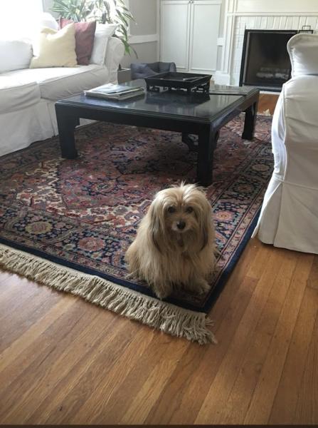Rose Oriental Rugs