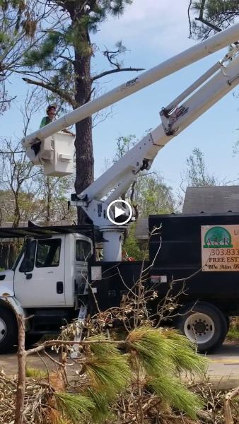 A&R Tree and Landscaping LLC