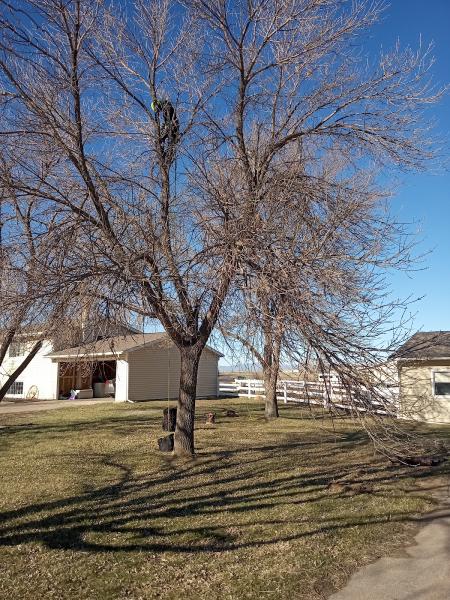 A&R Tree and Landscaping LLC
