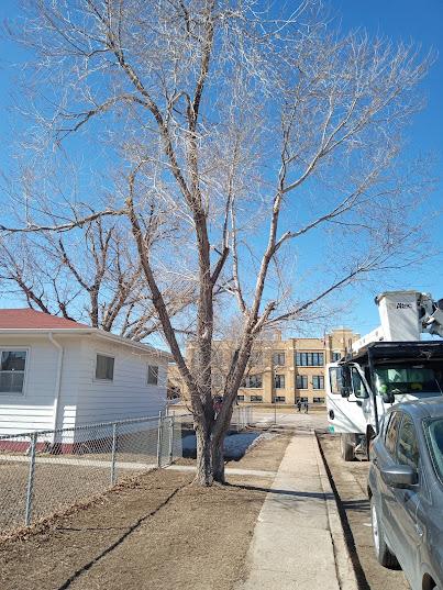 A&R Tree and Landscaping LLC