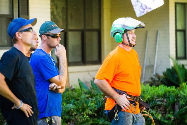Above and Beyond Tree Service