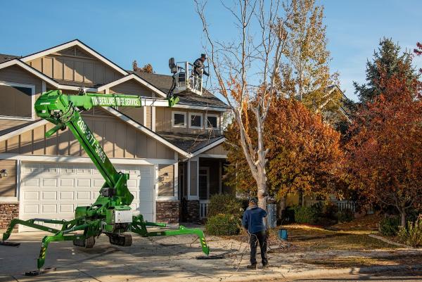 Timberline Tree Service