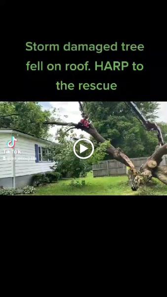 Harp Landscaping