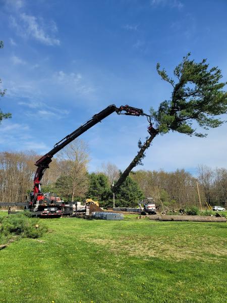 Harp Landscaping