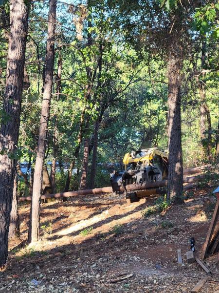 Sindt Tree Service