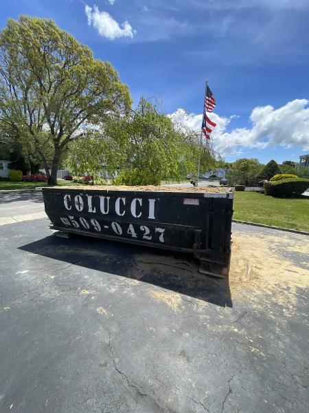 Colucci Carting