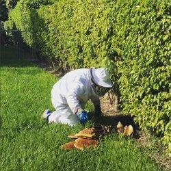 Tower Pest Control Inc