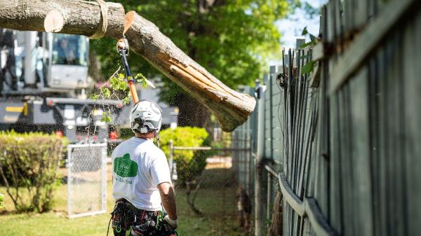 5 Oaks Tree Care