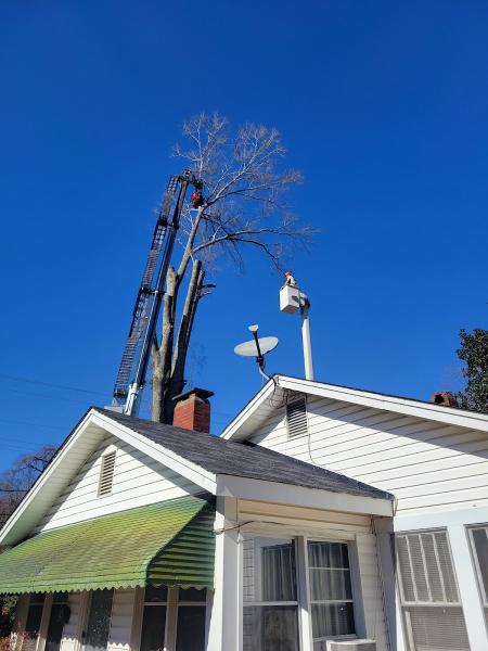 Precision Tree Service