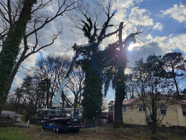 Precision Tree Service