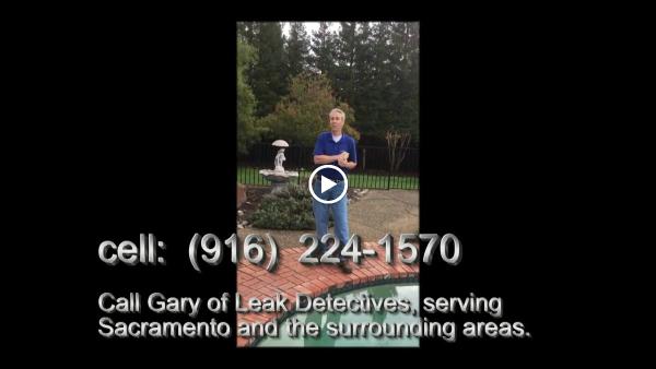 Leak Detectives
