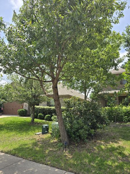 Good Guys Tree Service