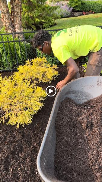 Doskoch Lawn Care & Landscaping Services