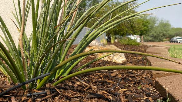 Dawn Till Dusk Landscaping