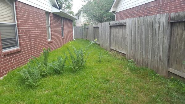 Grass Green Lawn Service
