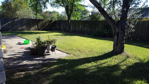 Grass Green Lawn Service