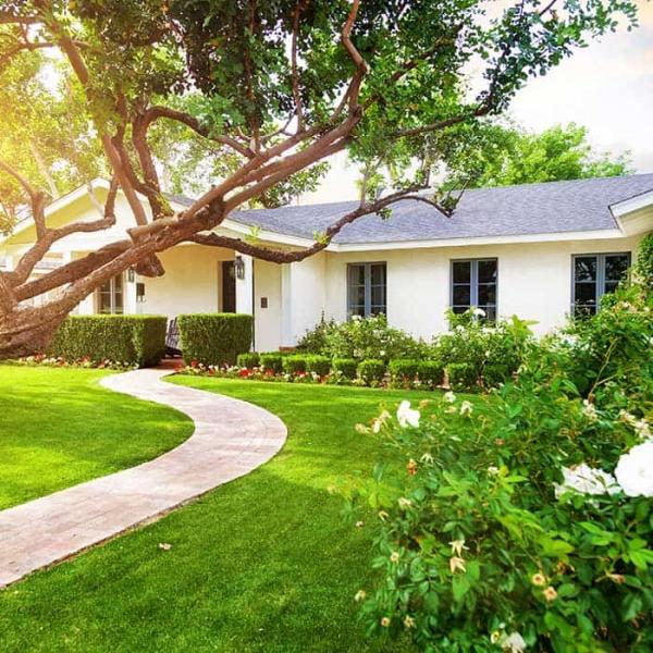 Starr Turf Grass & Stone