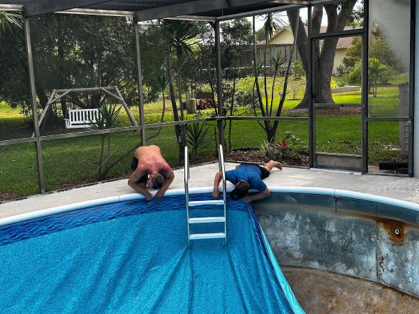 Paradise Palm Pools