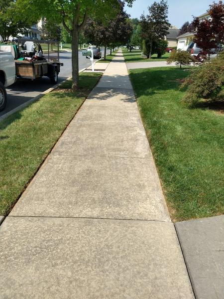 Vibrant Lawn & Landscaping