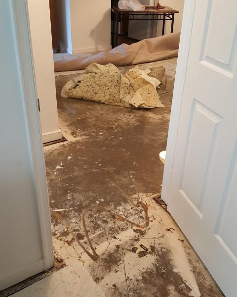 Heavenly Scent Carpet Cleanning
