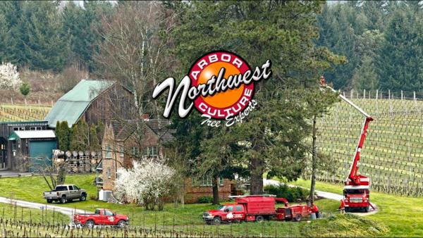 Northwest Arbor-Culture Inc.