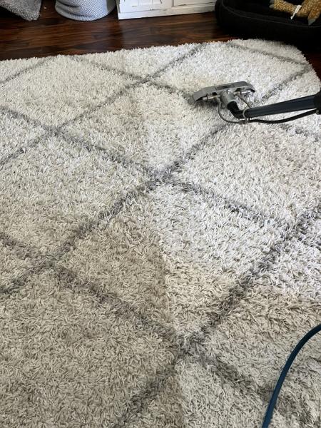 Fusion Cleaning