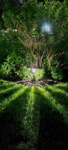 Acosta & Son's Lawn & Garden Maintenance LLC