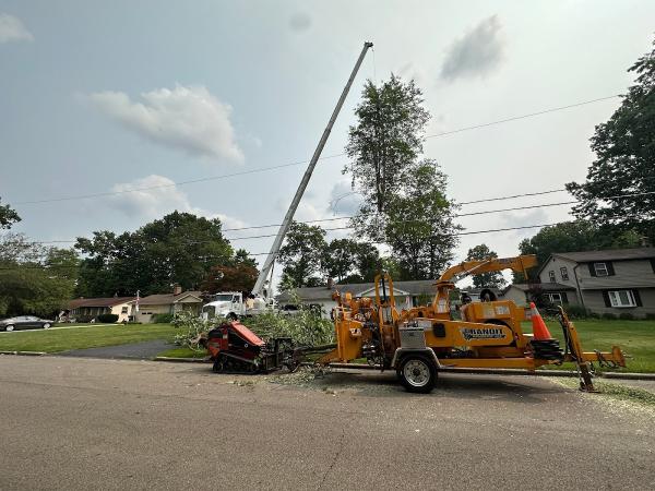 Youngstown Tree Service