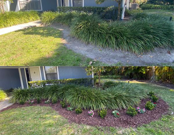 Natural Designs Landscape CO