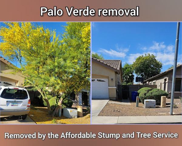 Affordable Stump and Tree Service