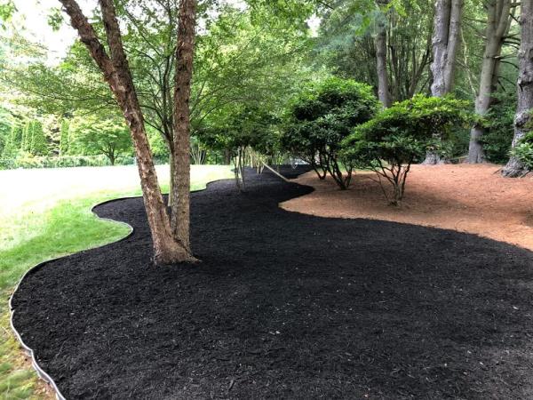 Dany Rodas Landscaping