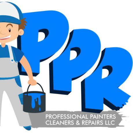 Professional Painter Cleaner and Repair