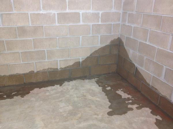 Everdry Basement Waterproofing Atlanta